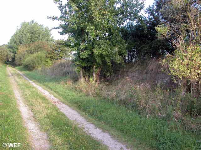 Bahnhof Marihn