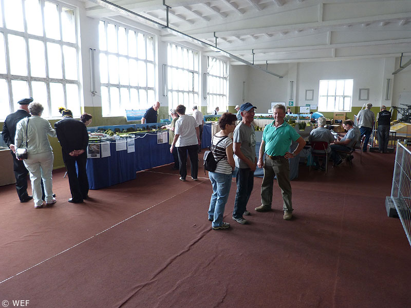 Ausstellungsraum