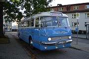 Vereinsleben